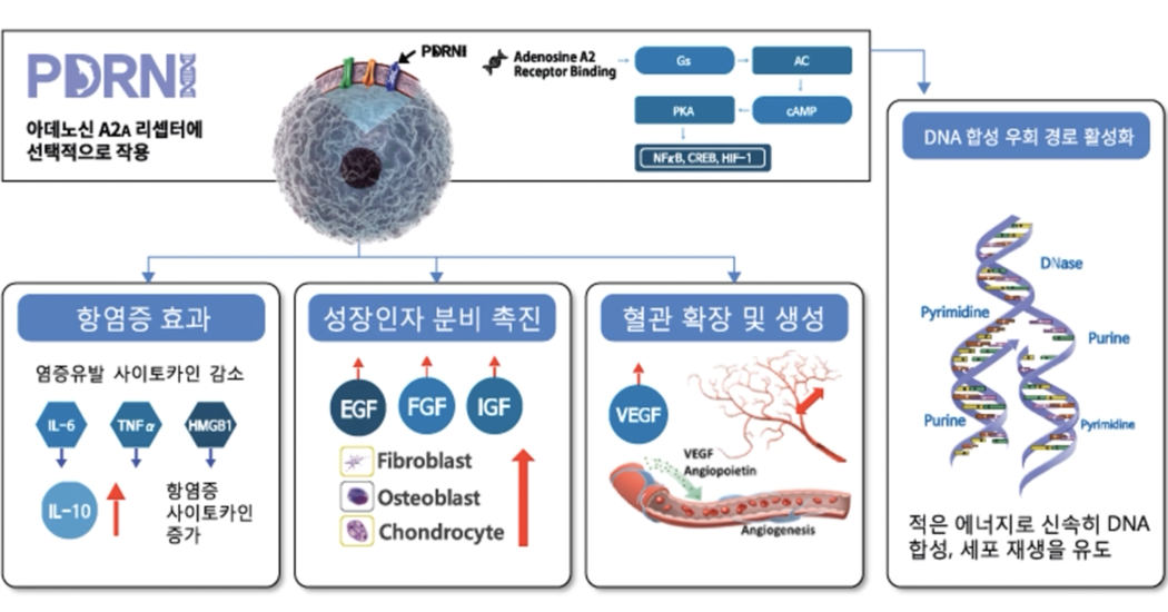 이미지명